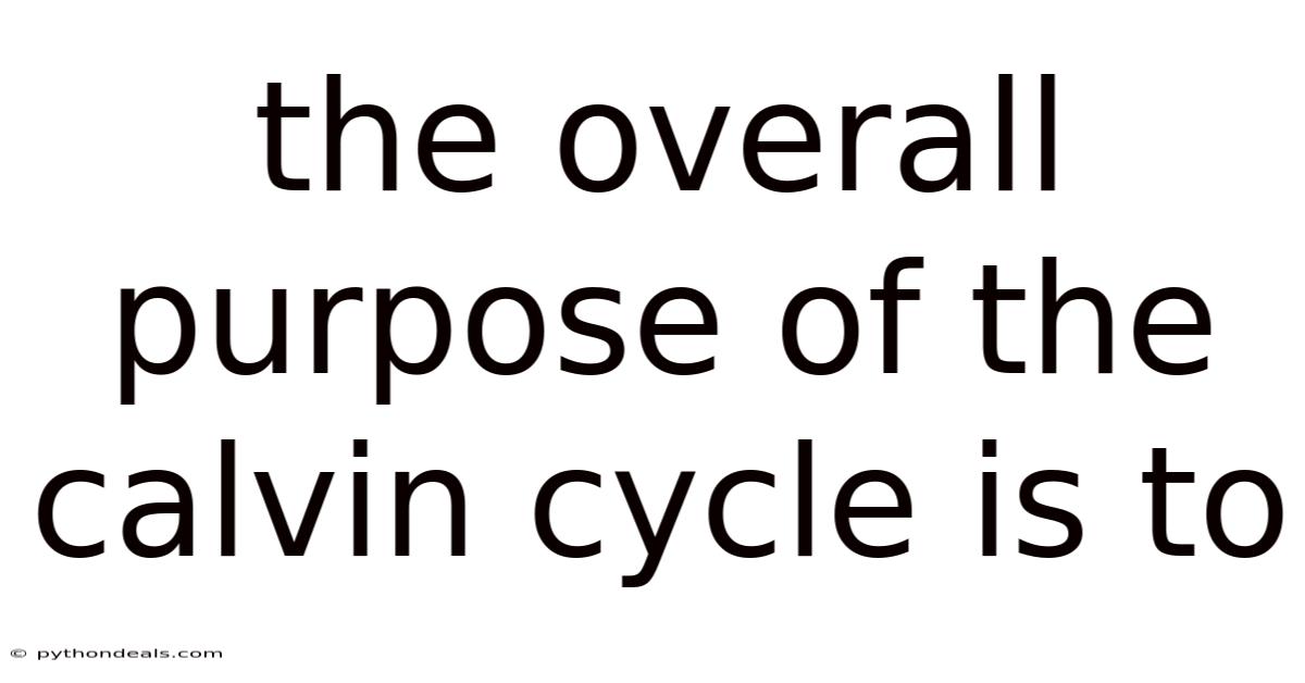 The Overall Purpose Of The Calvin Cycle Is To