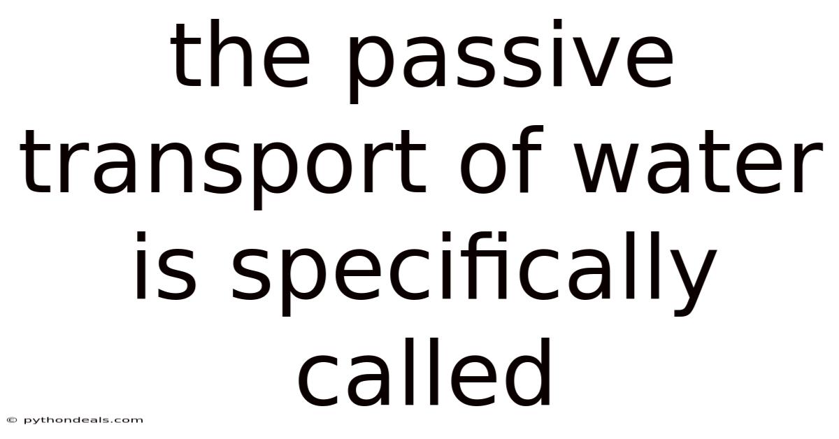 The Passive Transport Of Water Is Specifically Called