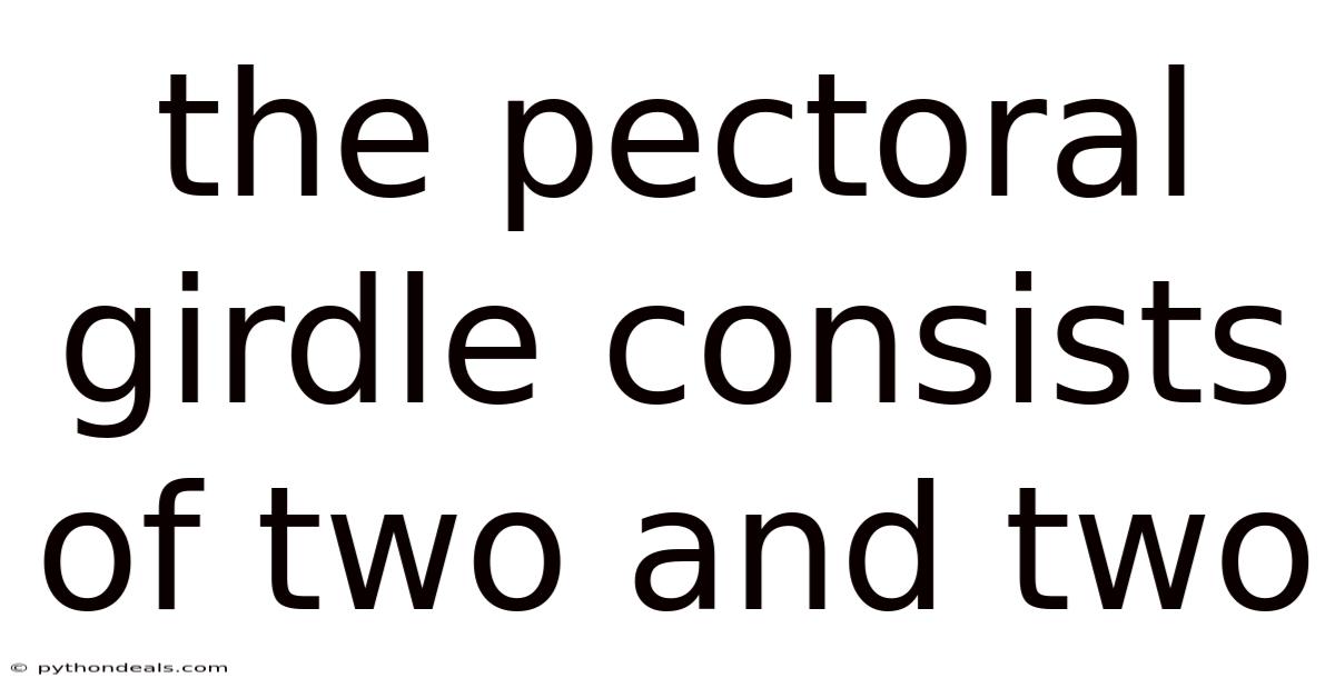 The Pectoral Girdle Consists Of Two And Two