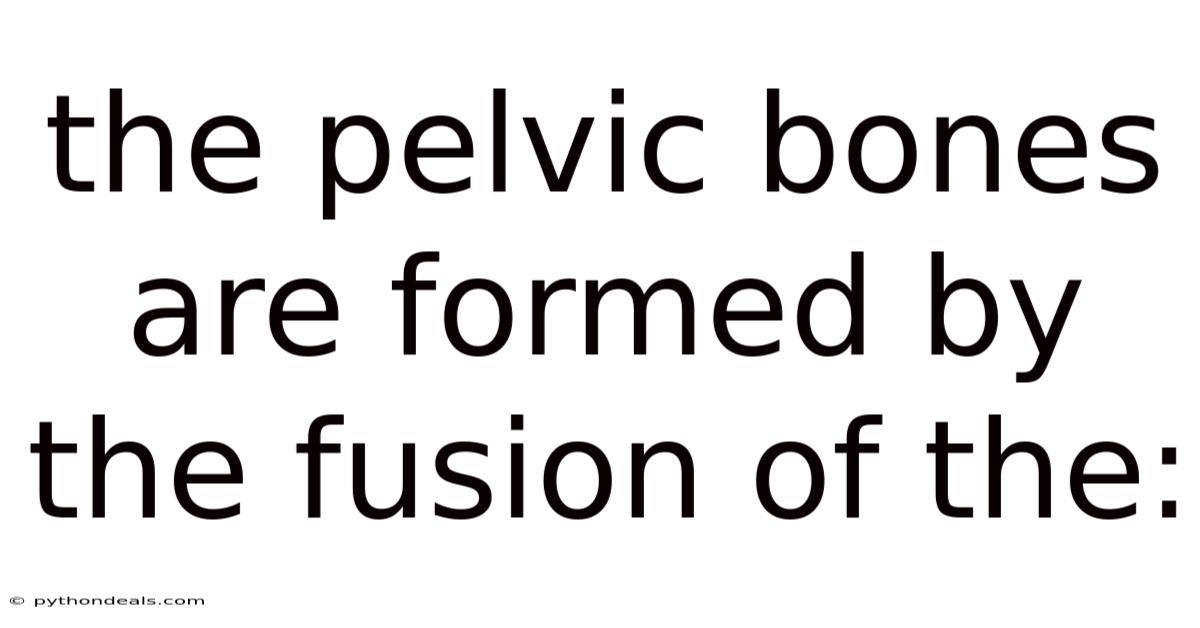 The Pelvic Bones Are Formed By The Fusion Of The: