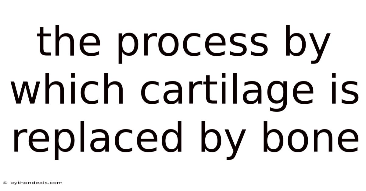 The Process By Which Cartilage Is Replaced By Bone