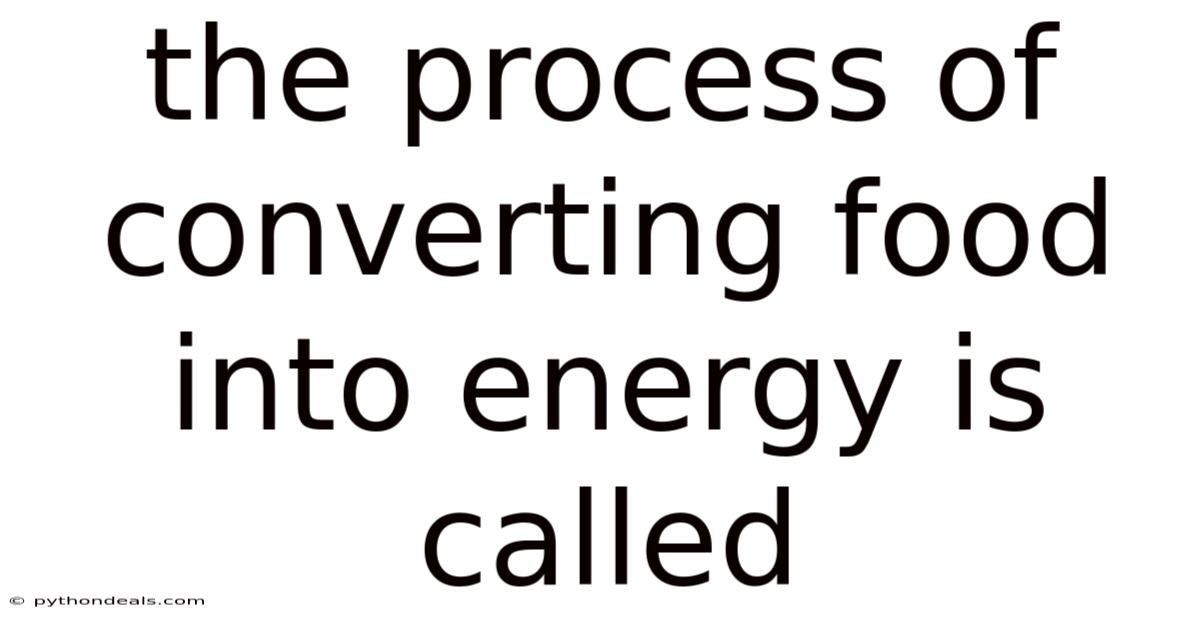 The Process Of Converting Food Into Energy Is Called
