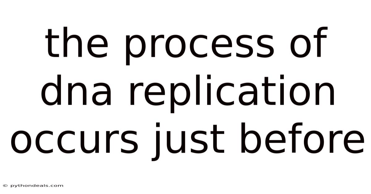 The Process Of Dna Replication Occurs Just Before