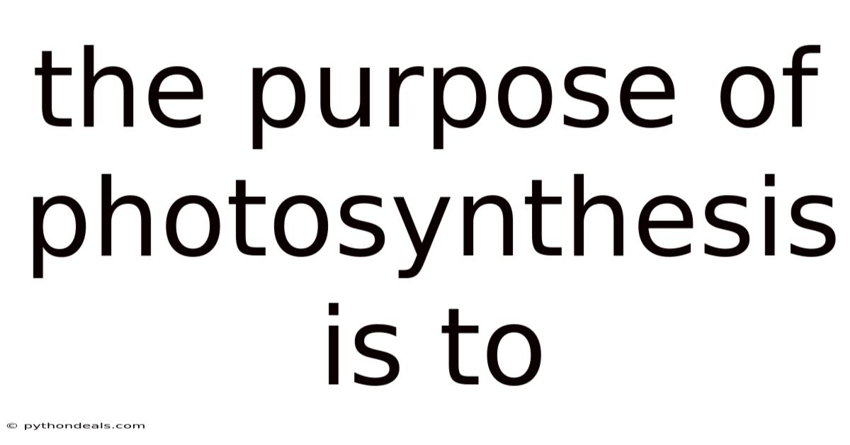 The Purpose Of Photosynthesis Is To
