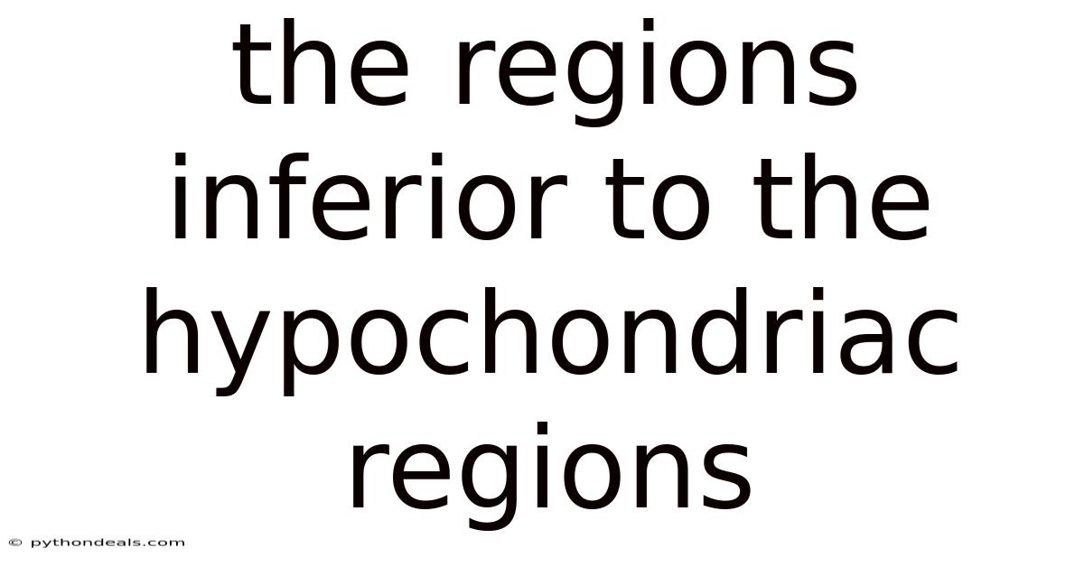 The Regions Inferior To The Hypochondriac Regions