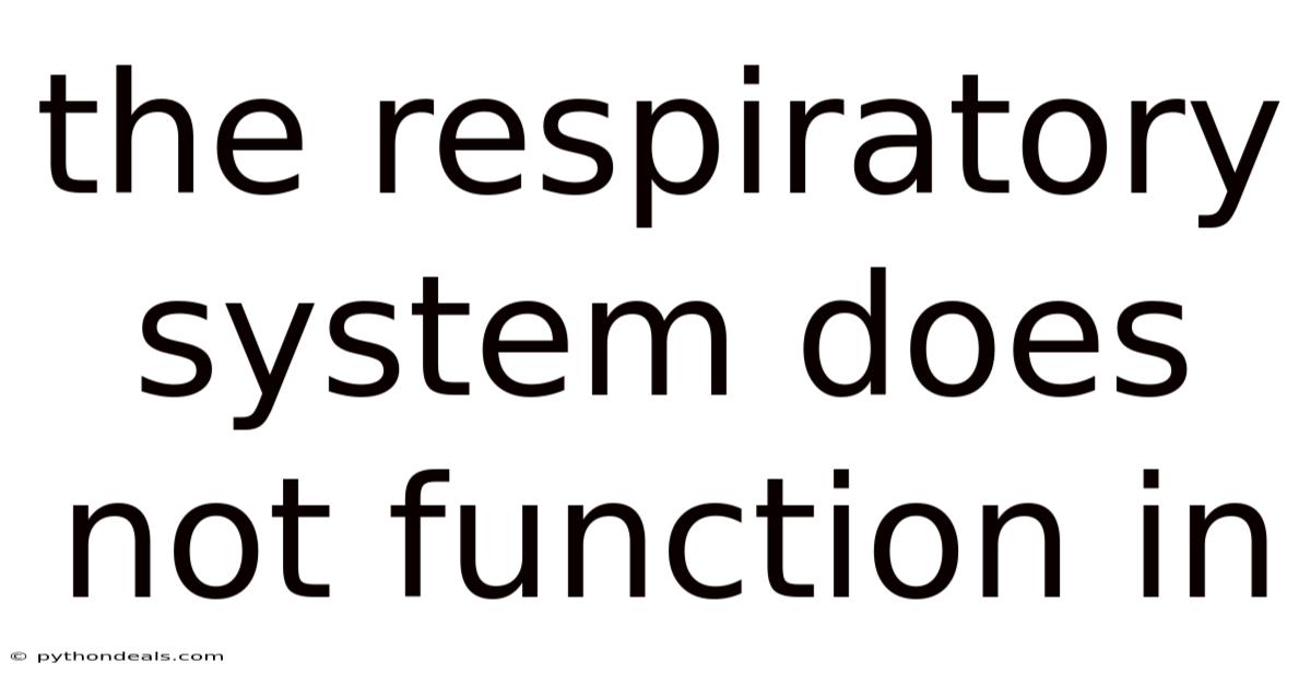 The Respiratory System Does Not Function In