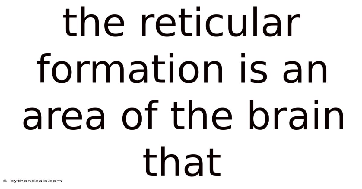 The Reticular Formation Is An Area Of The Brain That