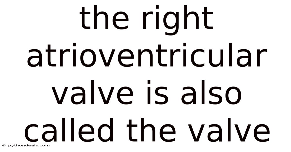 The Right Atrioventricular Valve Is Also Called The Valve