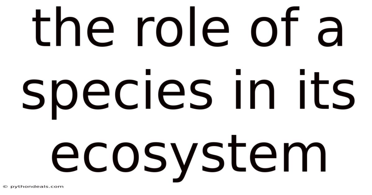 The Role Of A Species In Its Ecosystem