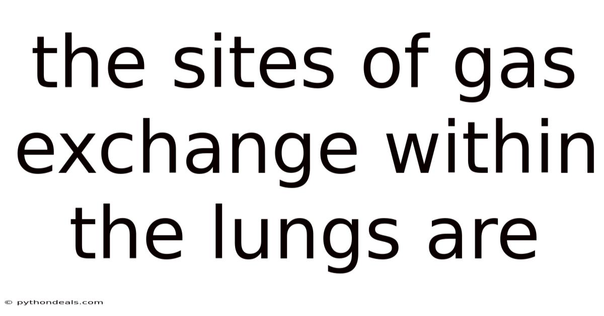 The Sites Of Gas Exchange Within The Lungs Are