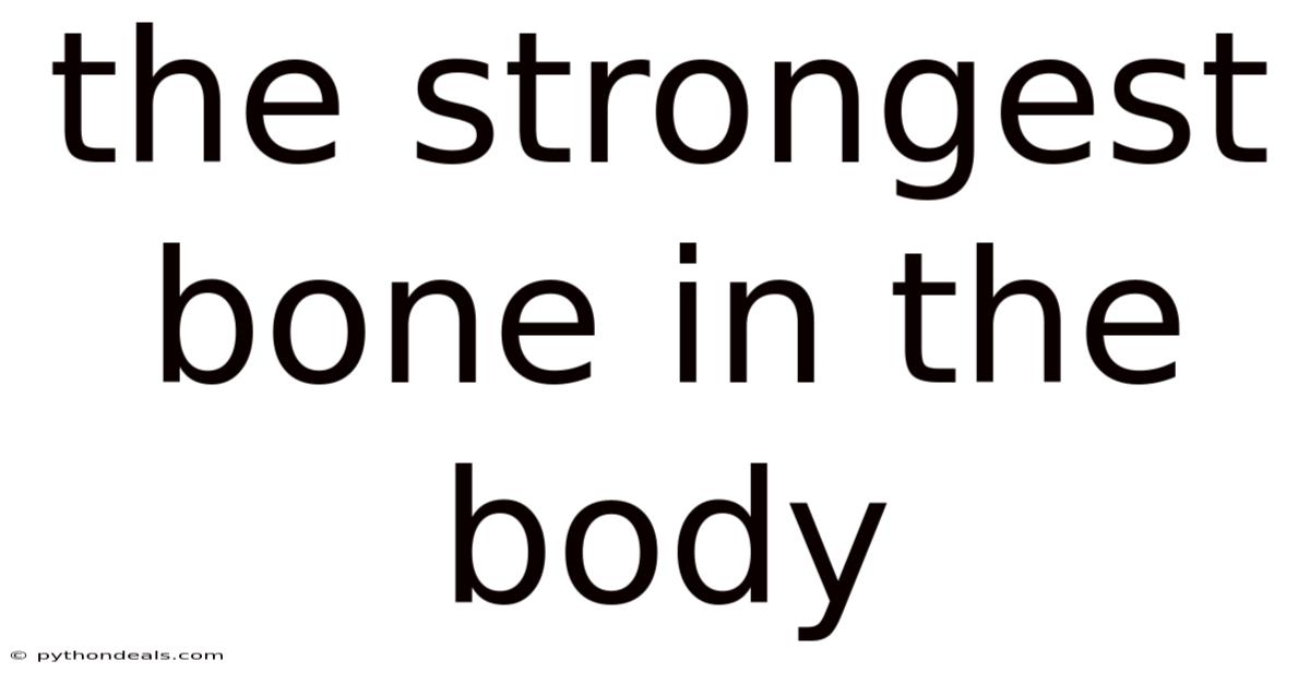 The Strongest Bone In The Body