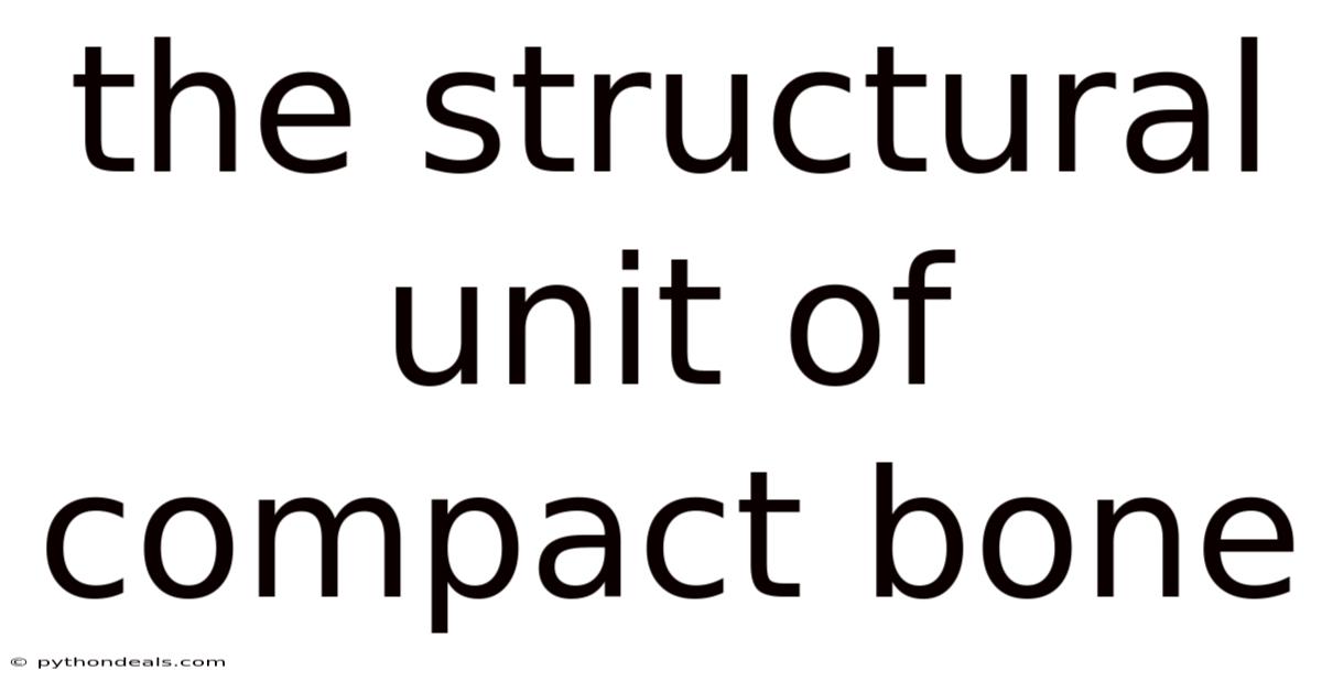 The Structural Unit Of Compact Bone