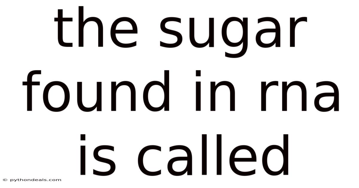 The Sugar Found In Rna Is Called