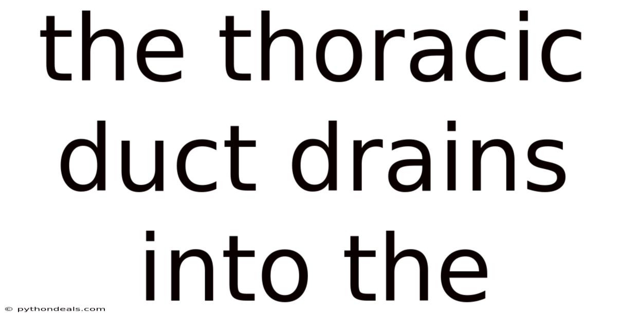 The Thoracic Duct Drains Into The
