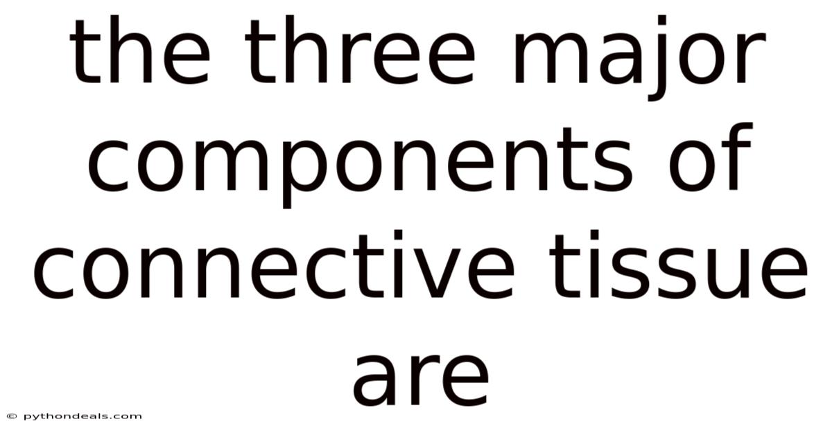 The Three Major Components Of Connective Tissue Are