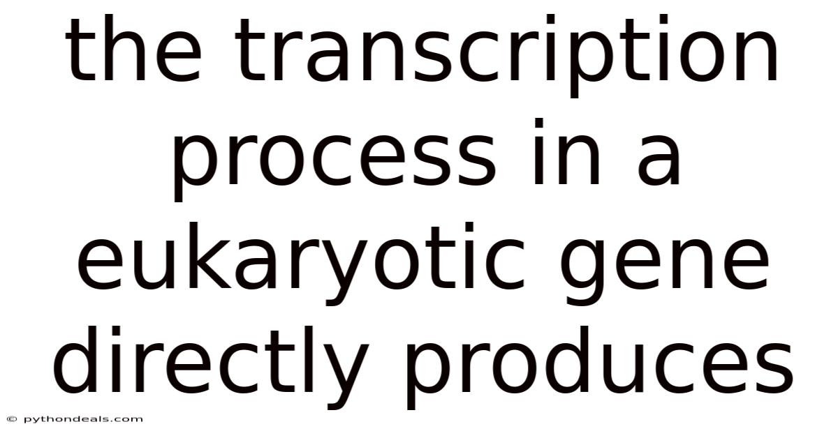 The Transcription Process In A Eukaryotic Gene Directly Produces