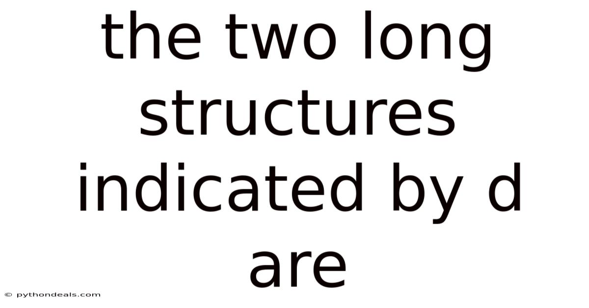 The Two Long Structures Indicated By D Are
