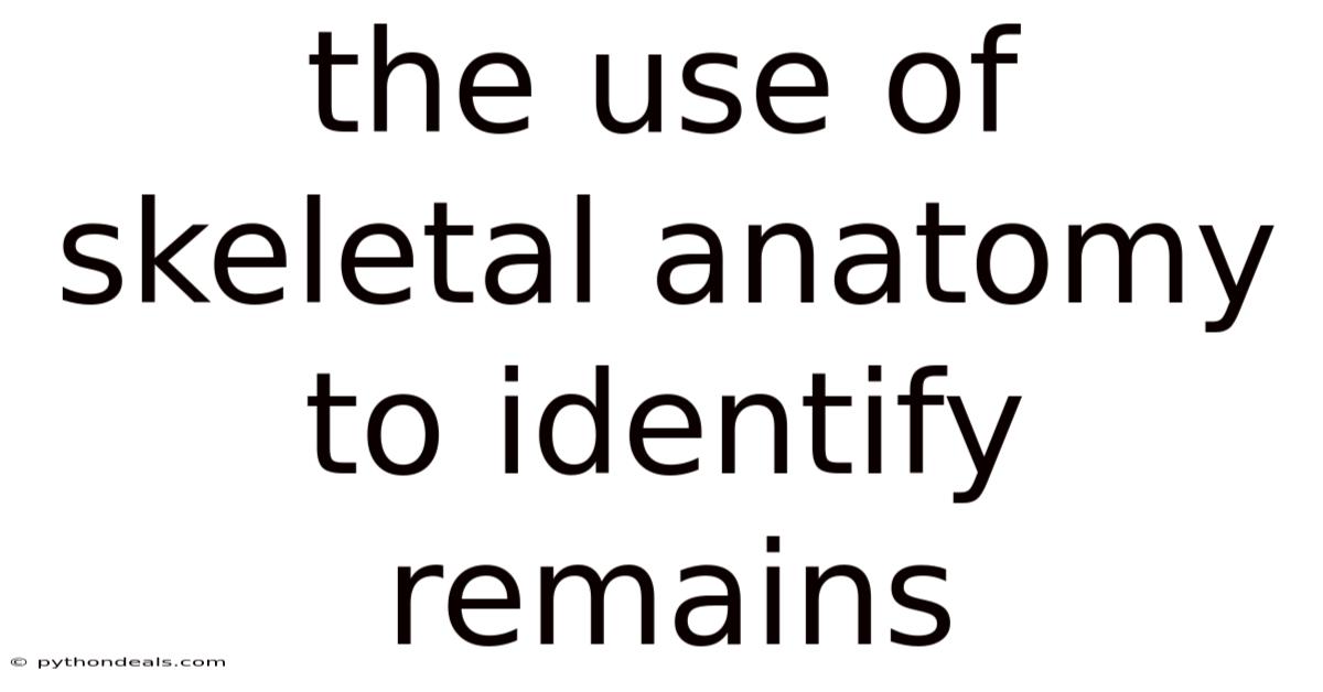 The Use Of Skeletal Anatomy To Identify Remains