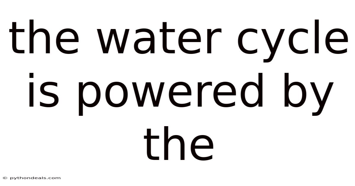 The Water Cycle Is Powered By The