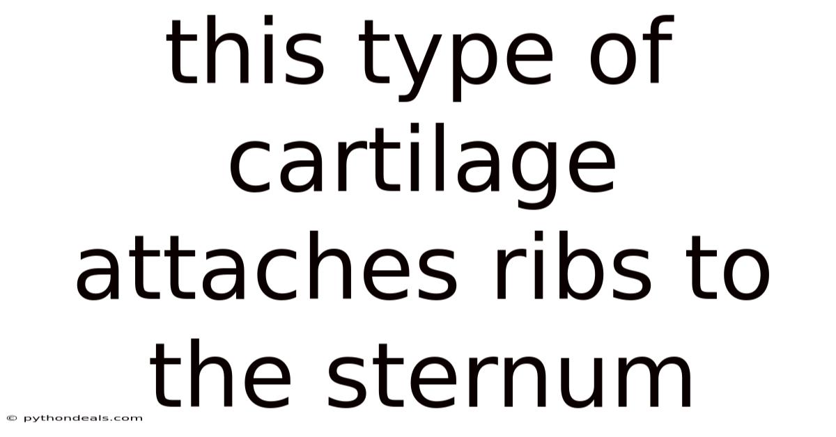 This Type Of Cartilage Attaches Ribs To The Sternum