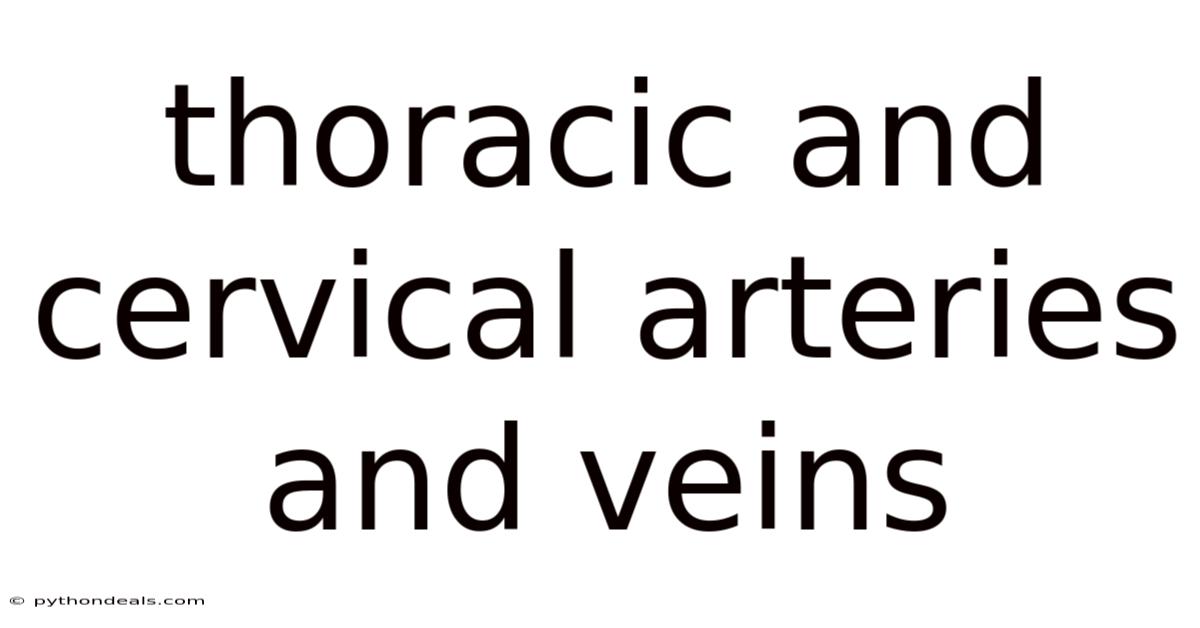 Thoracic And Cervical Arteries And Veins