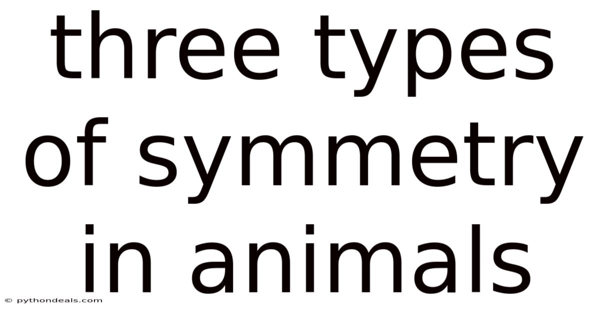 Three Types Of Symmetry In Animals