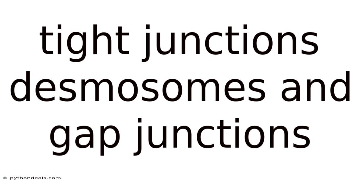 Tight Junctions Desmosomes And Gap Junctions
