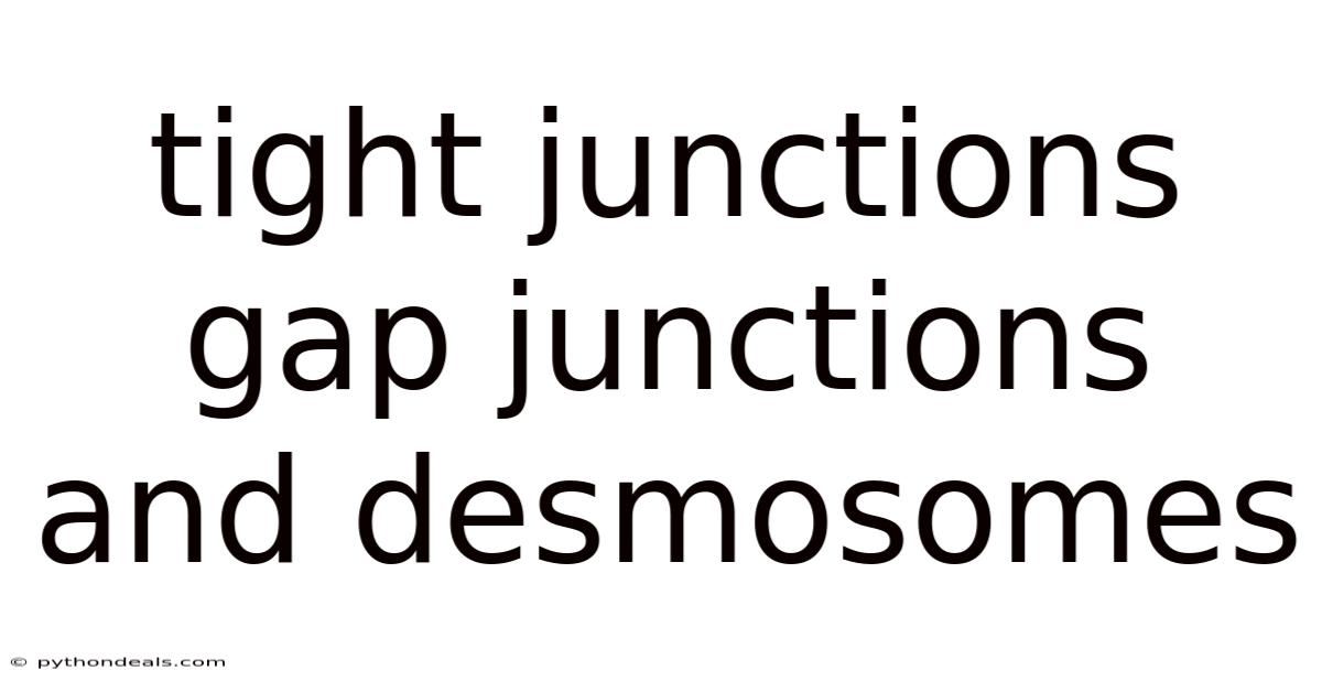 Tight Junctions Gap Junctions And Desmosomes