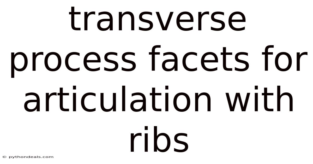Transverse Process Facets For Articulation With Ribs