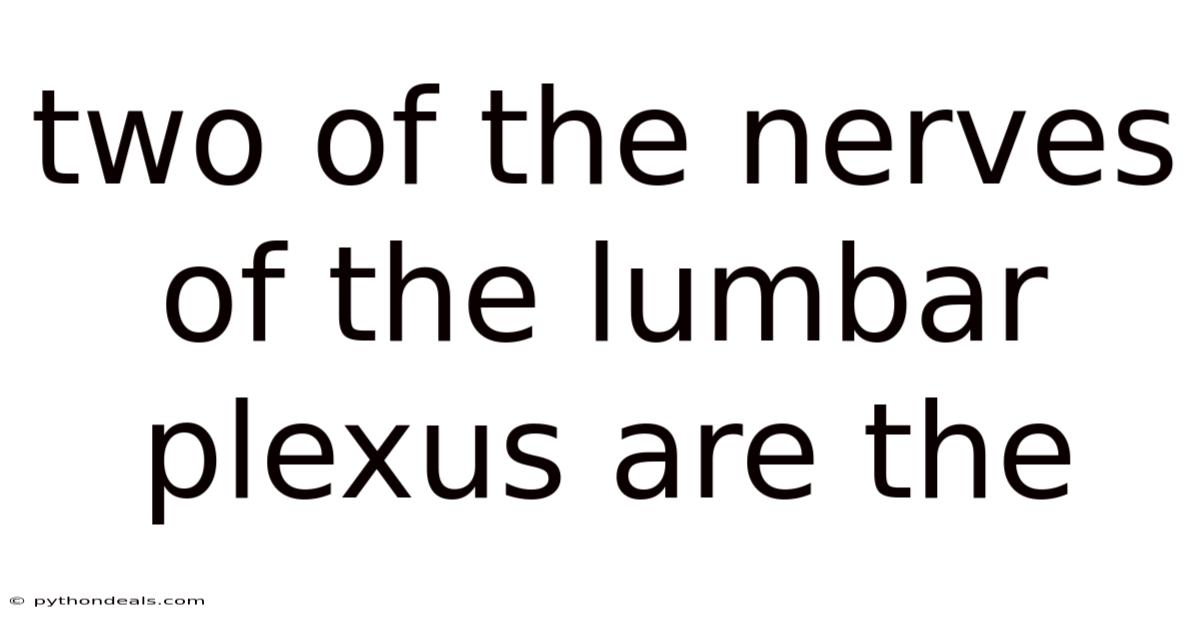 Two Of The Nerves Of The Lumbar Plexus Are The