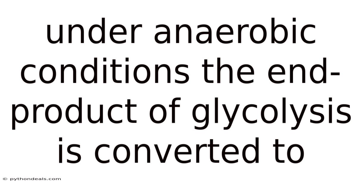 Under Anaerobic Conditions The End-product Of Glycolysis Is Converted To