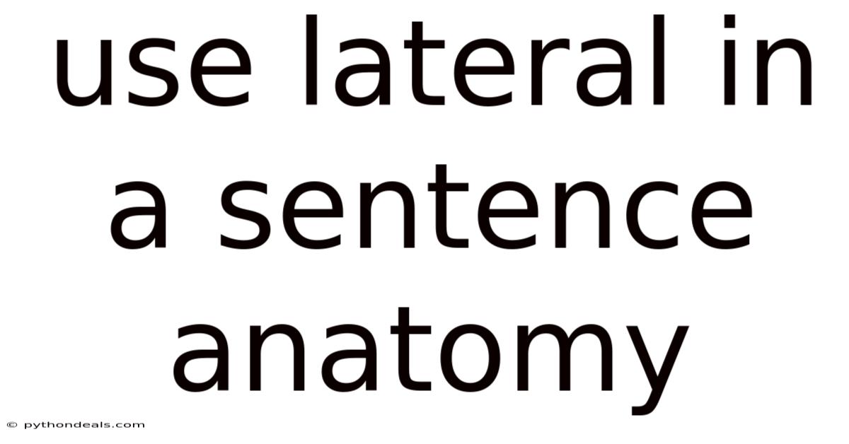 Use Lateral In A Sentence Anatomy