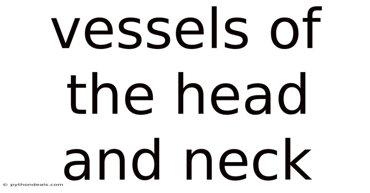 Vessels Of The Head And Neck