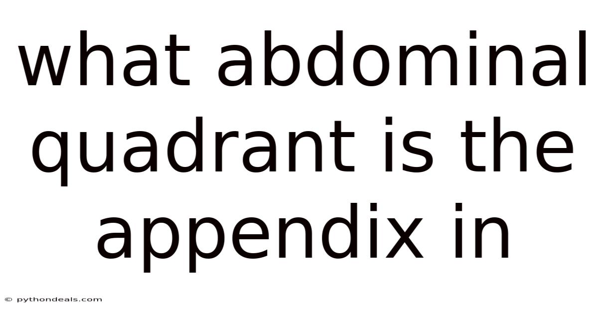 What Abdominal Quadrant Is The Appendix In