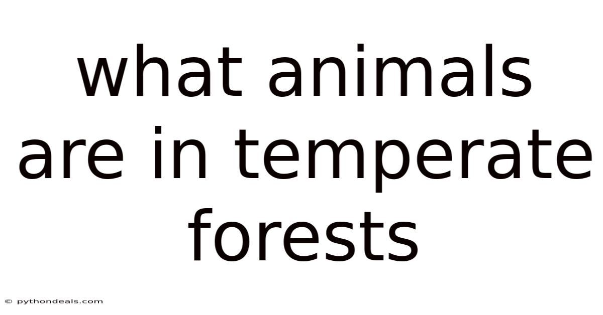 What Animals Are In Temperate Forests