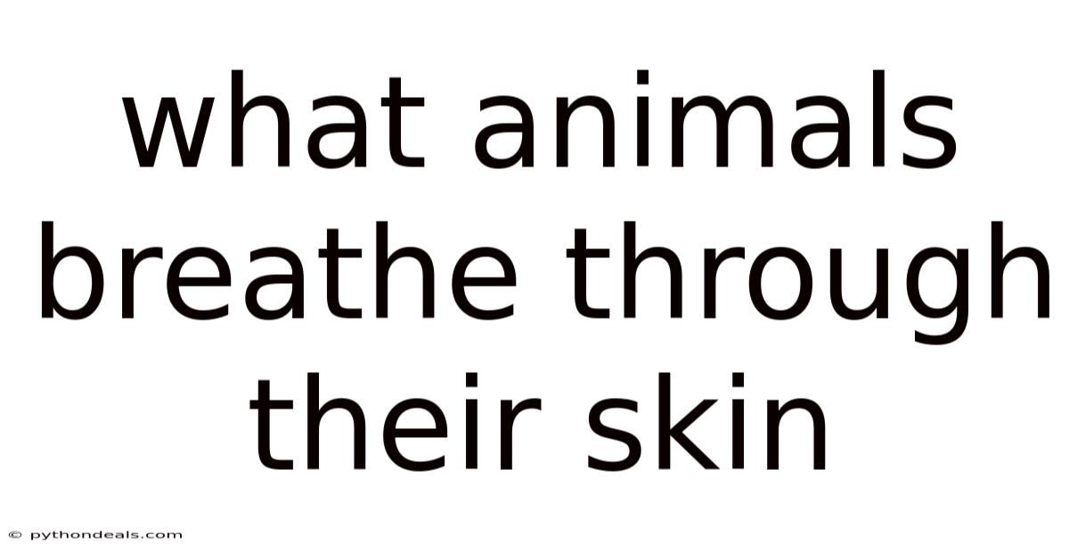 What Animals Breathe Through Their Skin