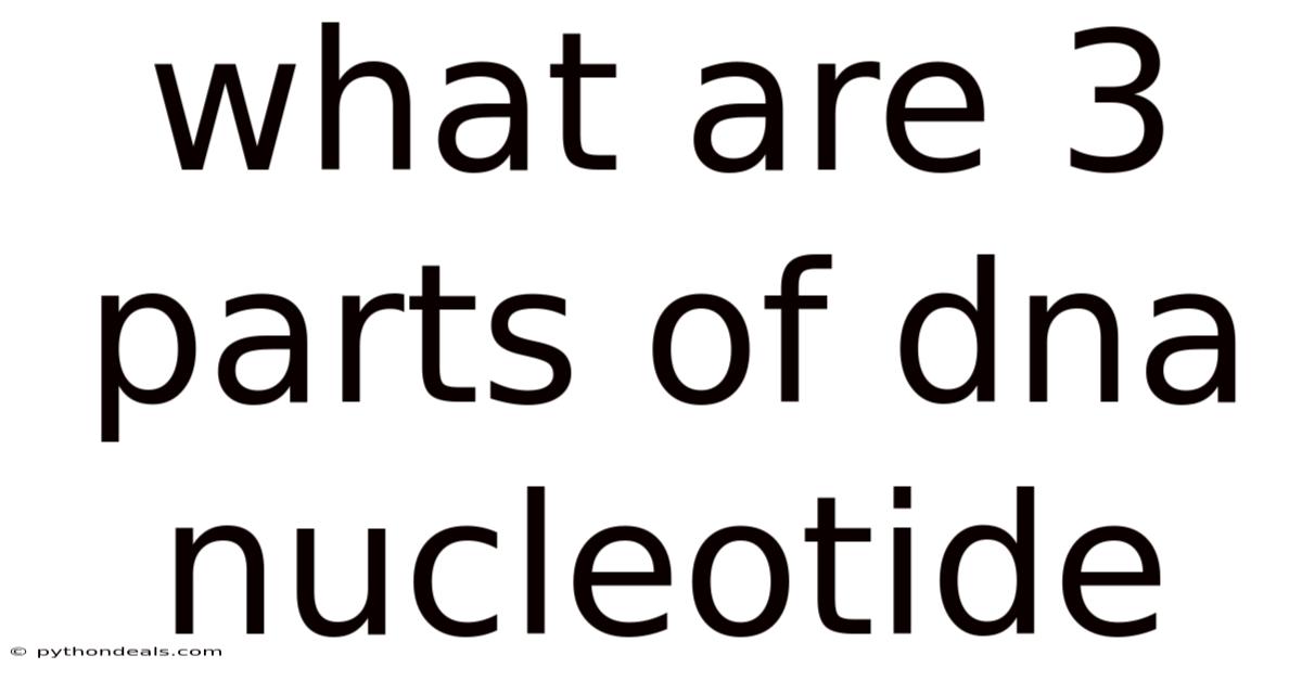 What Are 3 Parts Of Dna Nucleotide