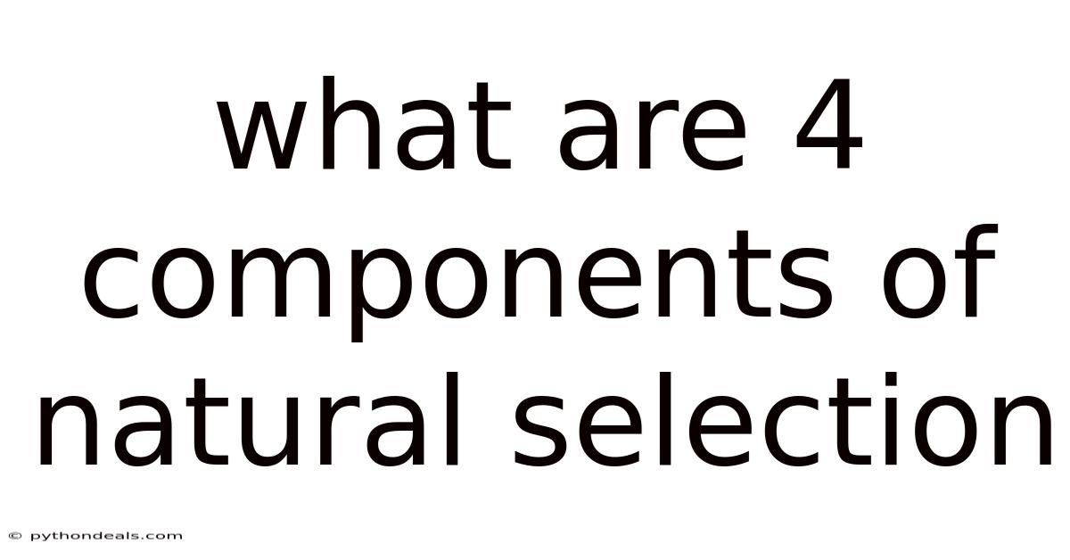 What Are 4 Components Of Natural Selection