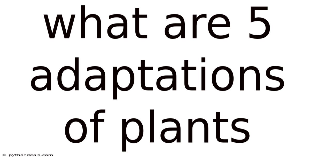 What Are 5 Adaptations Of Plants