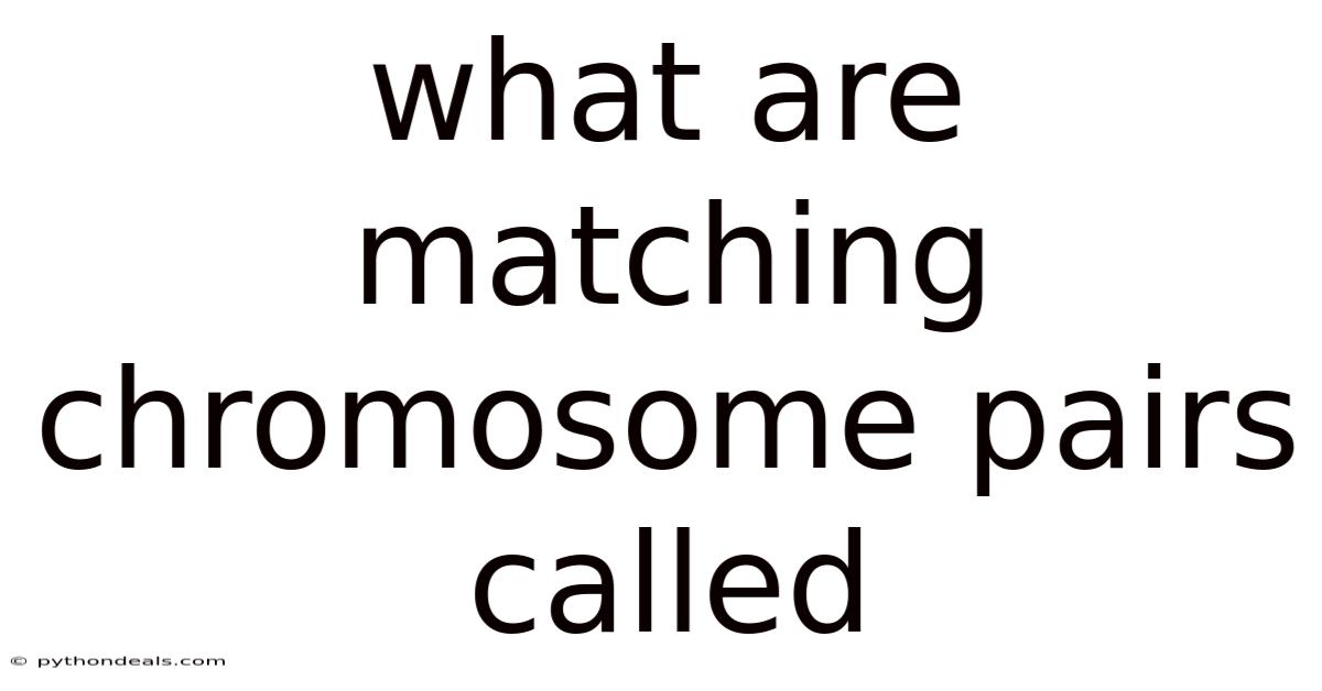 What Are Matching Chromosome Pairs Called