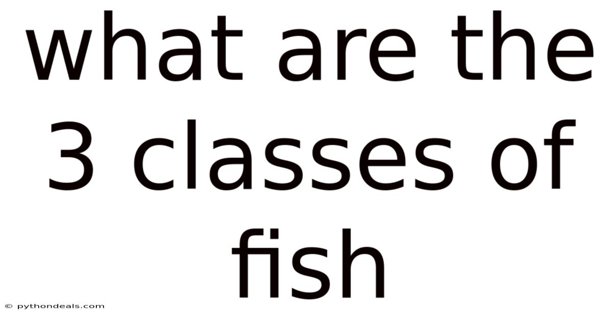 What Are The 3 Classes Of Fish