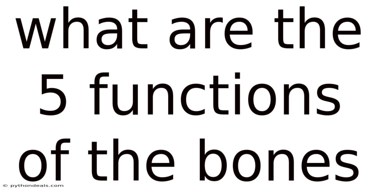 What Are The 5 Functions Of The Bones