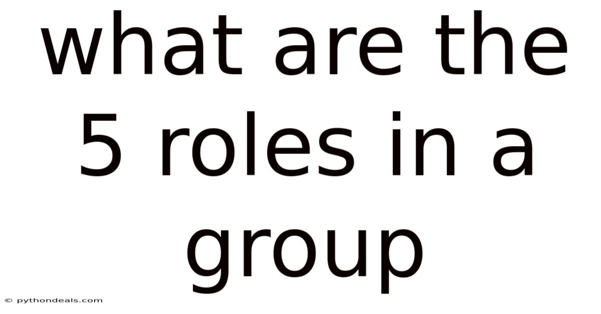 What Are The 5 Roles In A Group