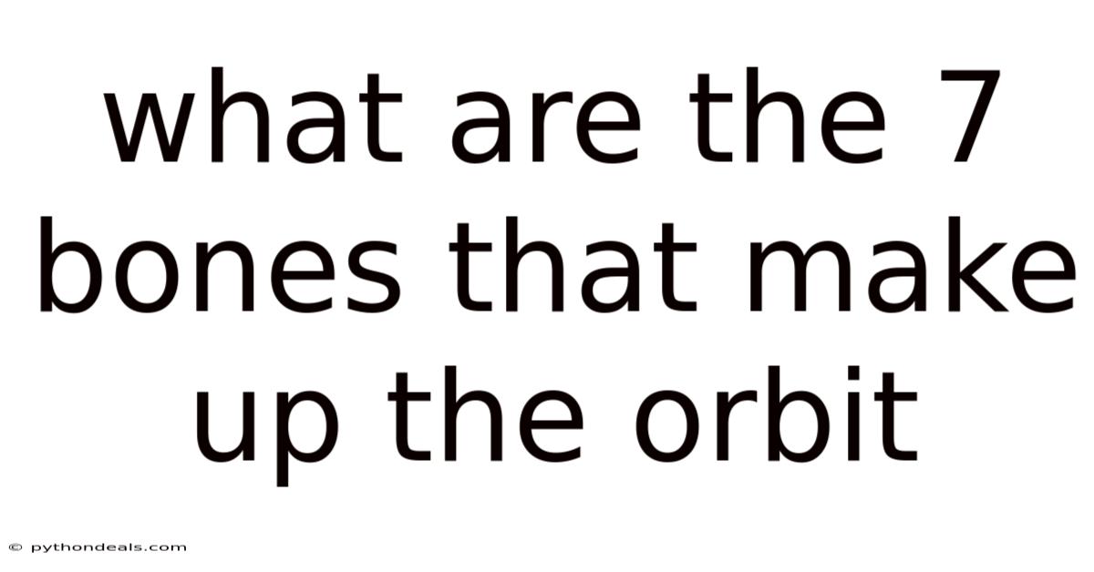 What Are The 7 Bones That Make Up The Orbit