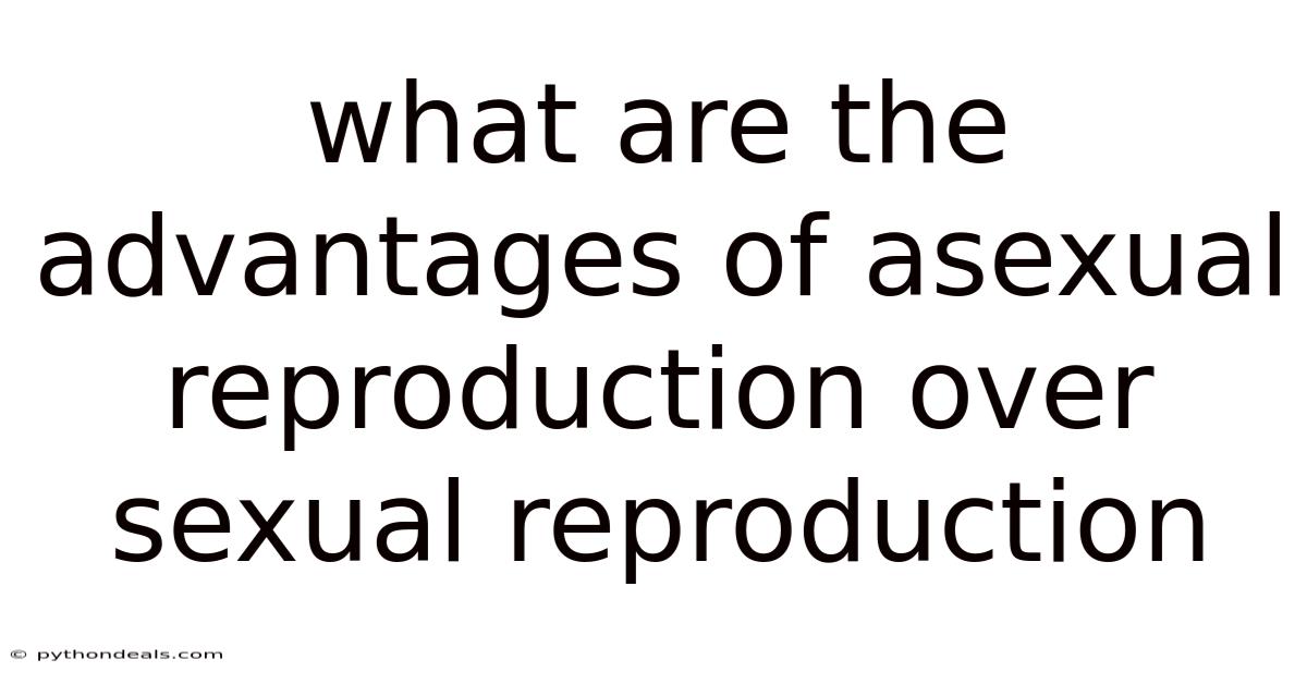 What Are The Advantages Of Asexual Reproduction Over Sexual Reproduction