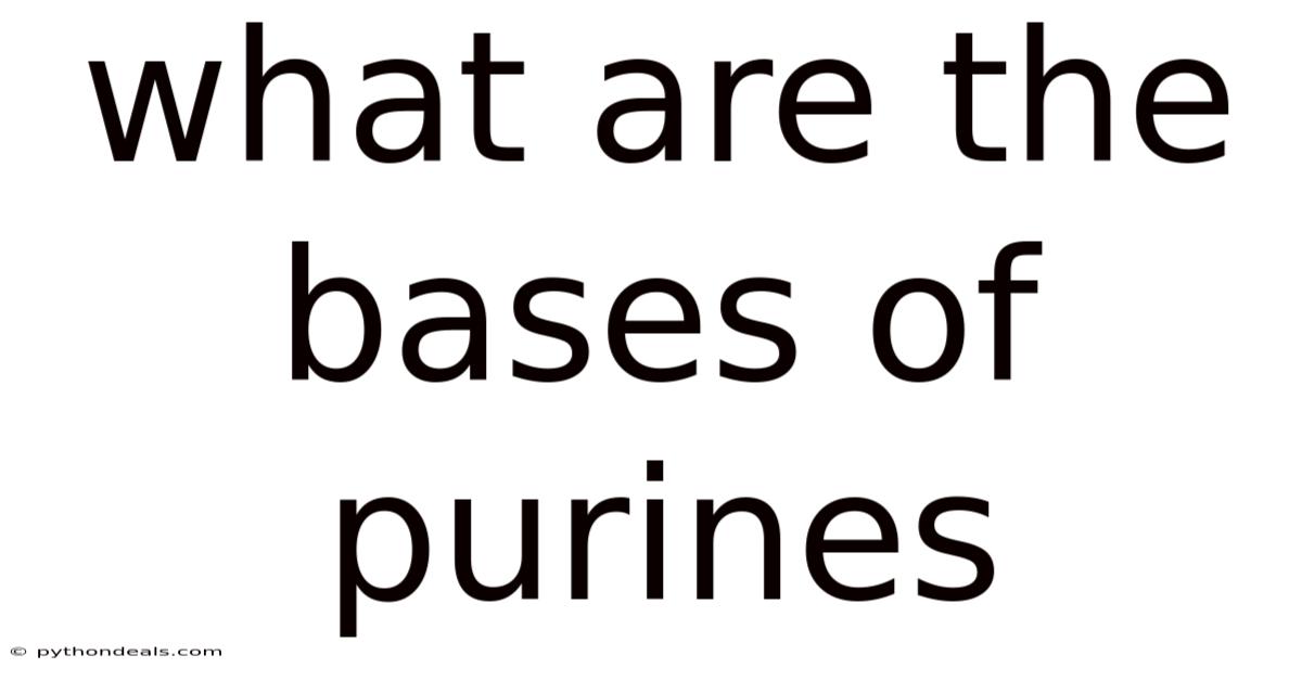 What Are The Bases Of Purines