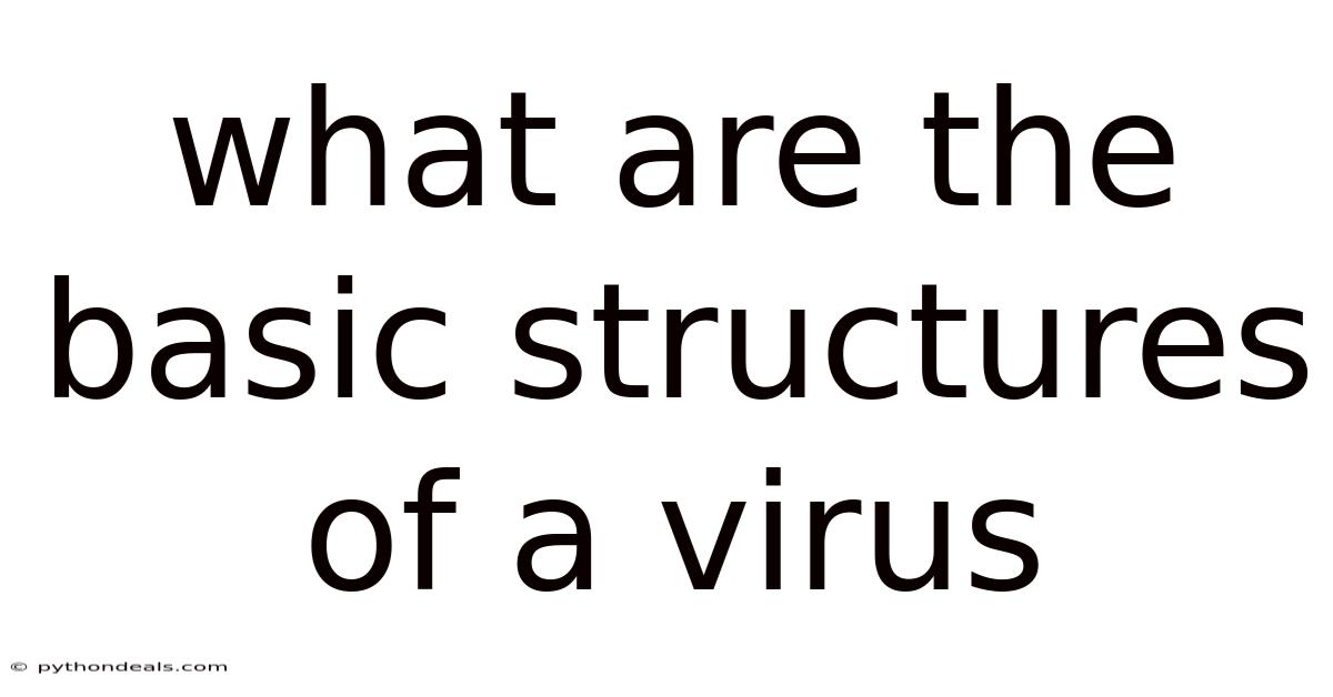 What Are The Basic Structures Of A Virus