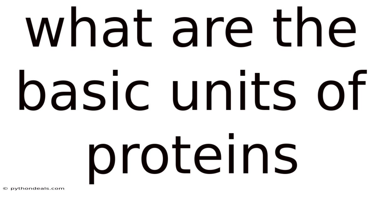 What Are The Basic Units Of Proteins