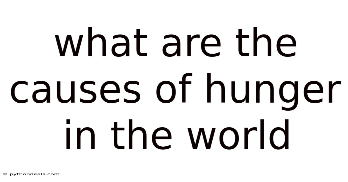 What Are The Causes Of Hunger In The World
