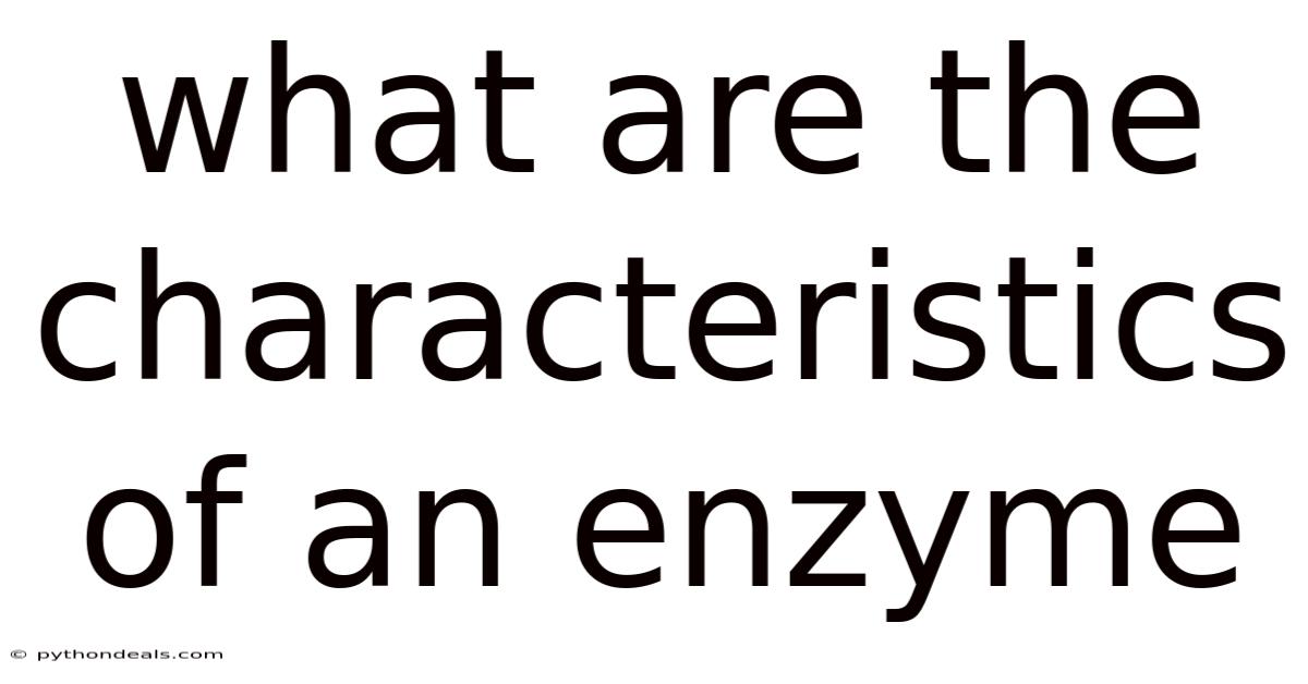 What Are The Characteristics Of An Enzyme